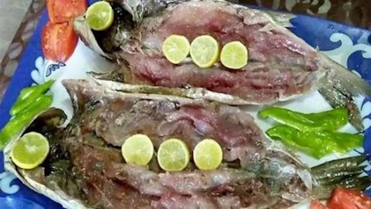 نصائح علمية لتناول الفسيخ والرنجة في عيد شم النسيم